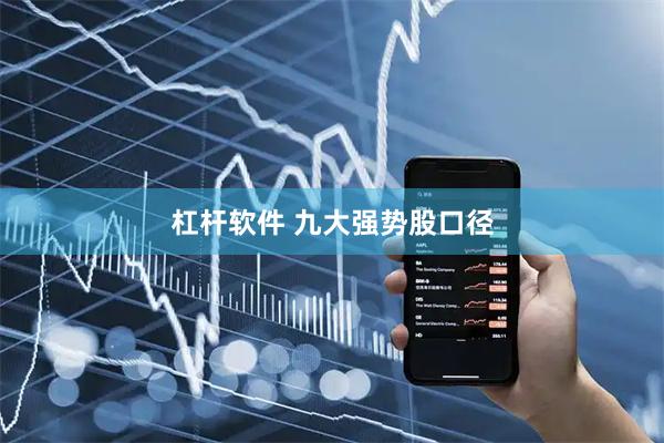 杠杆软件 九大强势股口径